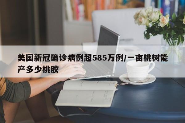 美国新冠确诊病例超585万例/一亩桃树能产多少桃胶