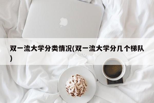 双一流大学分类情况(双一流大学分几个梯队)
