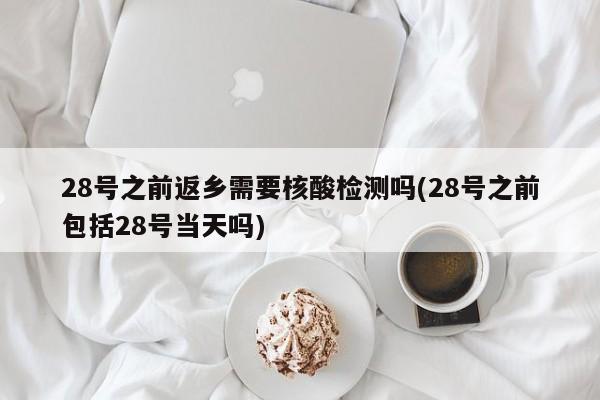 28号之前返乡需要核酸检测吗(28号之前包括28号当天吗)
