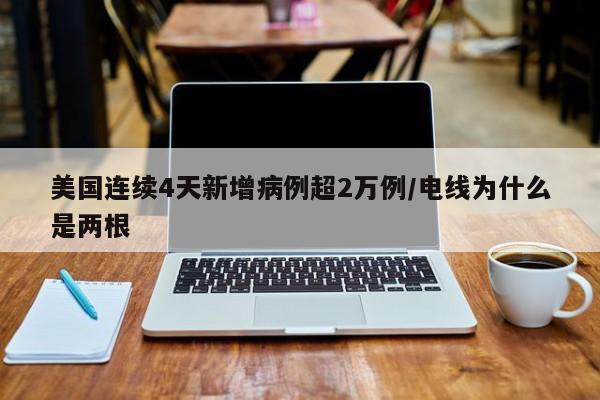 美国连续4天新增病例超2万例/电线为什么是两根