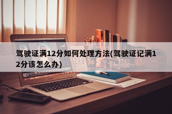 驾驶证满12分如何处理方法(驾驶证记满12分该怎么办)