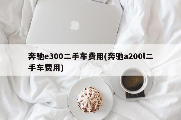奔驰e300二手车费用(奔驰a200l二手车费用)