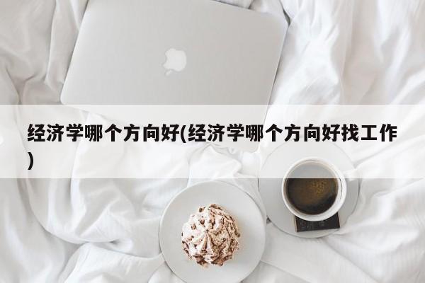 经济学哪个方向好(经济学哪个方向好找工作)