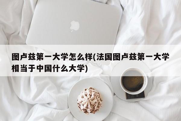 图卢兹第一大学怎么样(法国图卢兹第一大学相当于中国什么大学)
