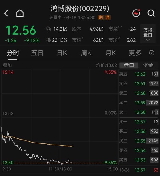 算力租赁人气股，逼近跌停