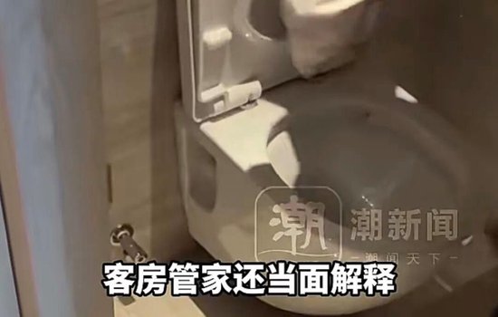 太炸裂！千元档豪华酒店被曝保洁员用刷过马桶的刷子清洁坐垫	，用马桶水洗手后整理床单、枕头……