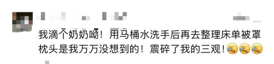 太炸裂！千元档豪华酒店被曝保洁员用刷过马桶的刷子清洁坐垫	，用马桶水洗手后整理床单、枕头……