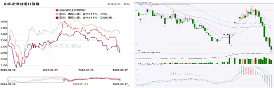 玉米：期现双弱，破位寻底